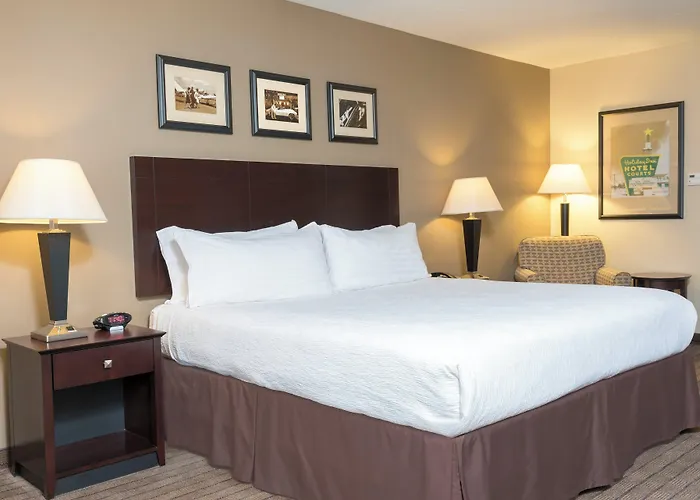 Hotel North - Naperville By Ihg 3*